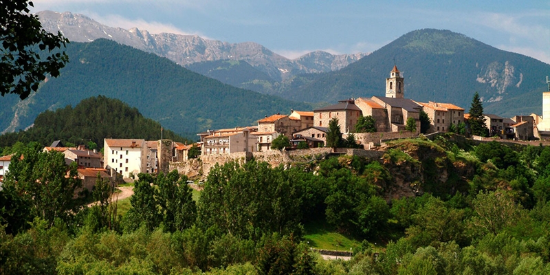 Concurso de Raza Frisona de Bellver de Cerdanya (Lleida) 2023