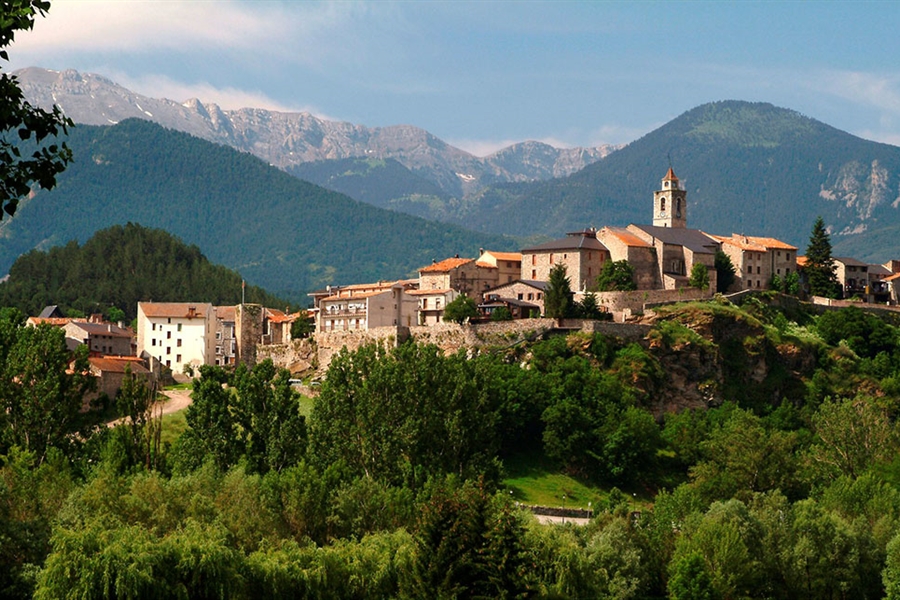 Concurso de Raza Frisona de Bellver de Cerdanya (Lleida) 2023