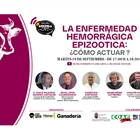 Webinar: Epidemiczna choroba krwotoczna (EHE): ​​Jak postępować?