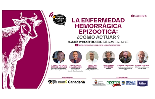 Webinar: La Enfermedad Hemorrgica Epizotica (EHE): Cmo actuar?