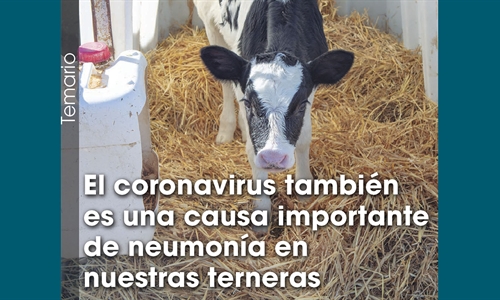 El coronavirus tambin es una causa importante de neumona en nuestras...