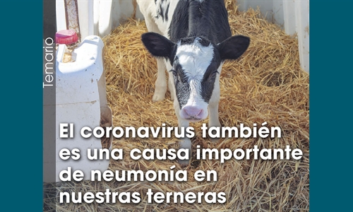 El coronavirus también es una causa importante de neumonía en nuestras...