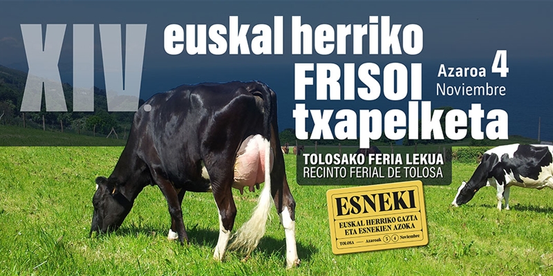 XIV Concurso de Ganado Frisn de Euskal Herria 2023