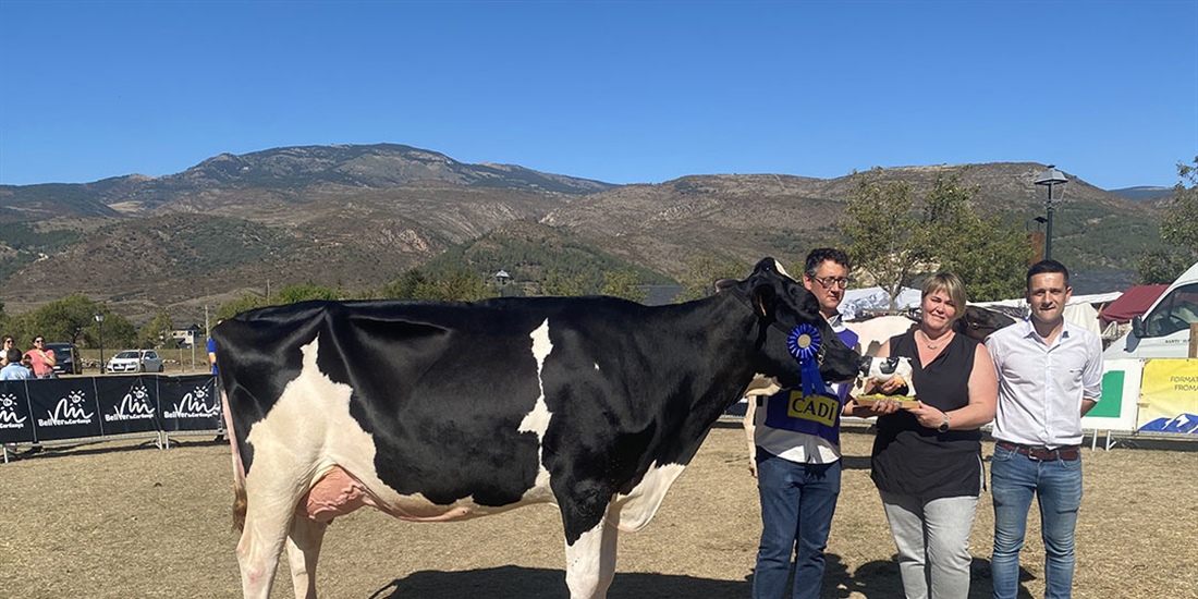 La Borda Delta-Lambda 392-479, Vaca Gran Campeona del Concurso de Raza...