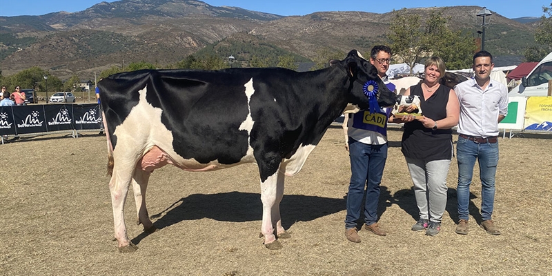 La Borda Delta-Lambda 392-479, Vaca Gran Campeona del Concurso de Raza Frisona de Bellver de Cerdanya 2023