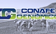 Actualización de las pruebas genómicas de Hembras CONAFE Octubre 2023