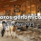 Nuevos toros genómicos con Prueba Oficial: Evaluación genómica de octubre 2023