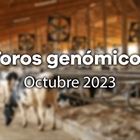 Nuevos toros genmicos con Prueba Oficial: Evaluacin genmica de octubre 2023