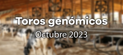 Nuevos toros genómicos con Prueba Oficial: Evaluación genómica de octubre 2023