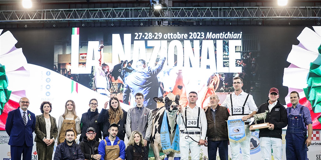 Sabbiona Tiky, Vaca Gran Campeona de Italia 2023