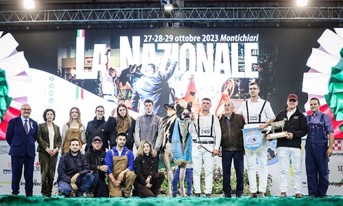 Sabbiona Tiky, Vaca Gran Campeona de Italia 2023