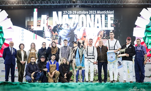 Sabbiona Tiky, Vaca Gran Campeona de Italia 2023