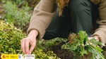 Abierta la convocatoria del programa CULTIVA 2023 para jvenes agricultores y ganaderos