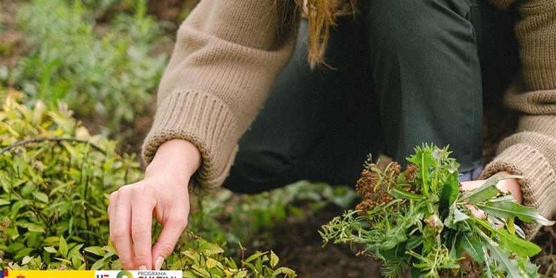 Abierta la convocatoria del programa CULTIVA 2023 para jvenes agricultores y ganaderos