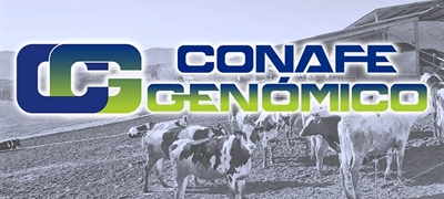 Actualizacin de las pruebas genmicas de Hembras CONAFE Noviembre 2023