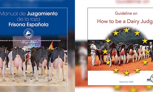 Ya está disponible el Manual de Juzgamiento de la raza Frisona Española
