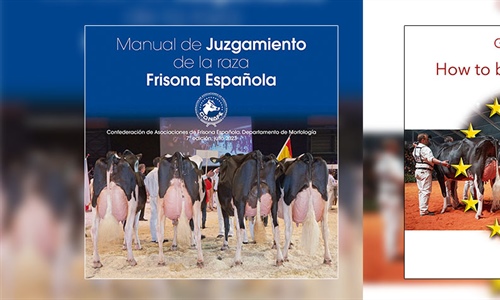 Ya est disponible el Manual de Juzgamiento de la raza Frisona Espaola