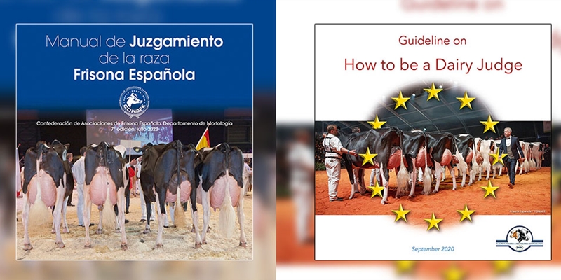 Ya está disponible el Manual de Juzgamiento de la raza Frisona Española