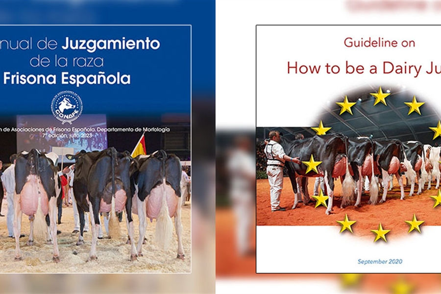 Ya est disponible el Manual de Juzgamiento de la raza Frisona Espaola