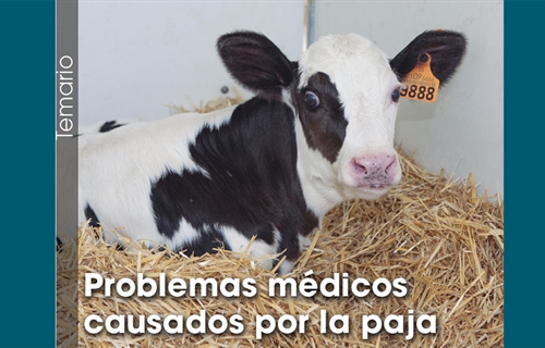 Problemas mdicos causados por la paja