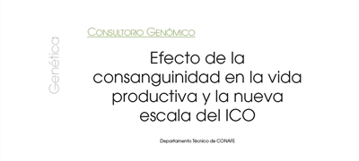 Efecto de la consanguinidad en la vida productiva y la nueva escala del ICO