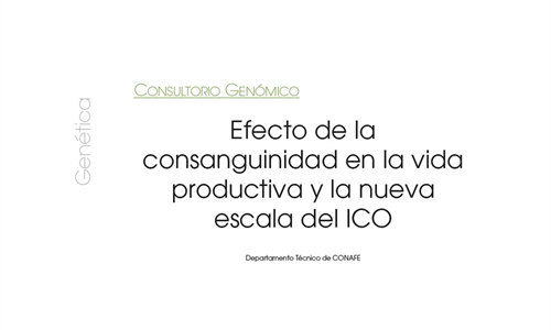 Efecto de la consanguinidad en la vida productiva y la nueva escala del ICO