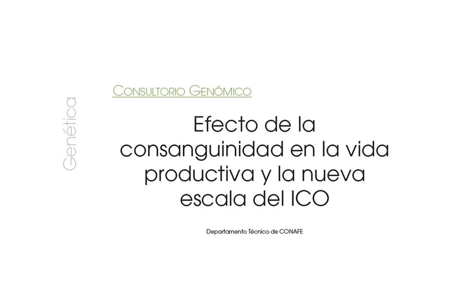 Efecto de la consanguinidad en la vida productiva y la nueva escala del ICO