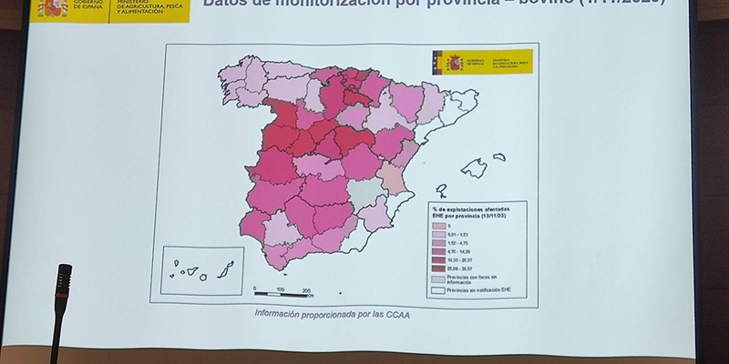 CONAFE y otras asociaciones se renen con el MAPA para tratar la situacin sanitaria, medidas de control y prevencin de la EHE