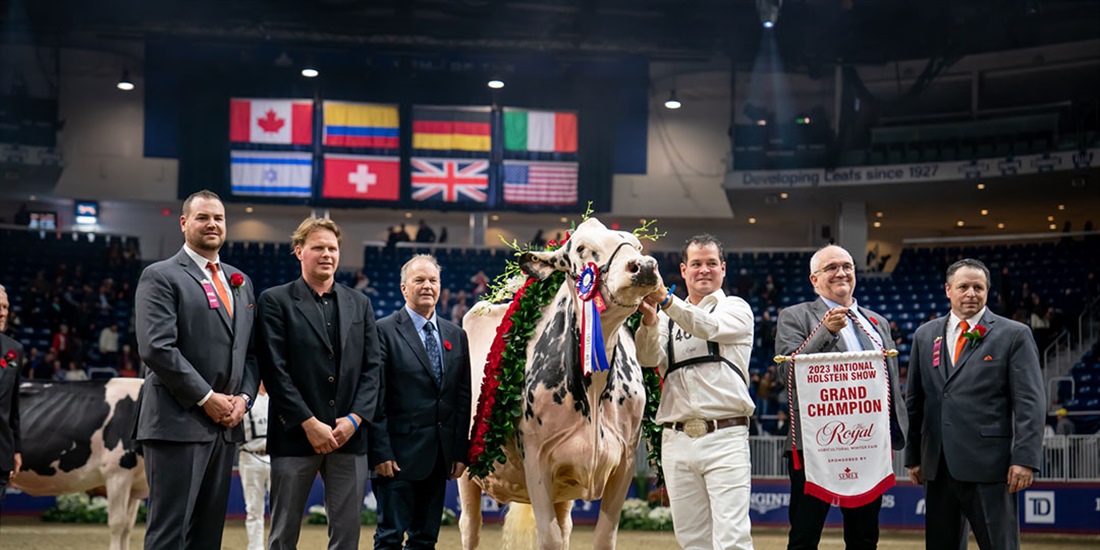 Shakira, Vaca Campeona Suprema Royal 2023