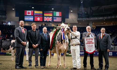 Shakira, Vaca Campeona Suprema Royal 2023