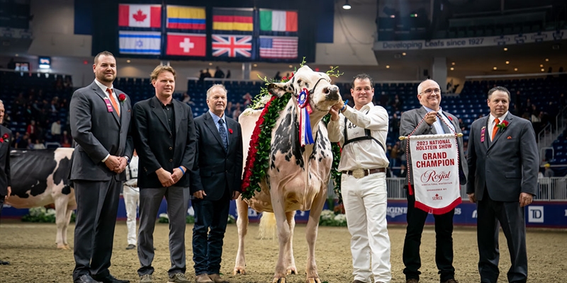 Shakira, Vaca Campeona Suprema Royal 2023