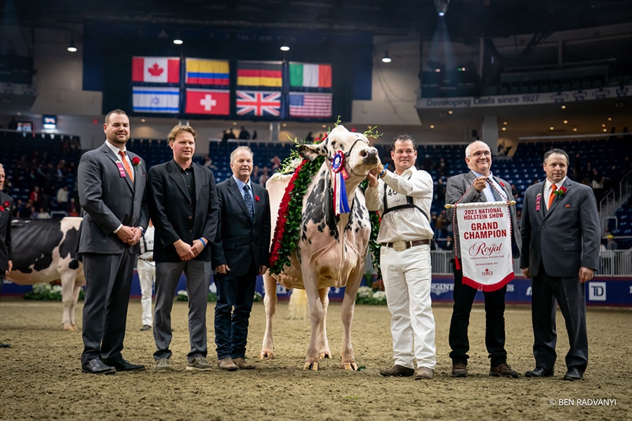 Shakira, Vaca Campeona Suprema Royal 2023