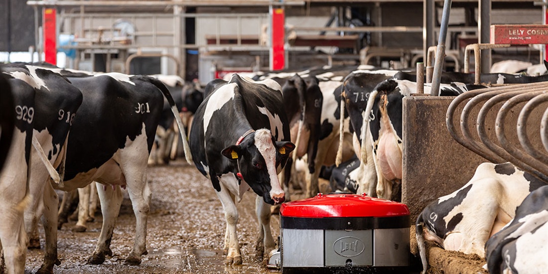 Lely presenta Discovery Collector C2, un nuevo robot para limpiar naves...