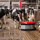 Lely presenta Discovery Collector C2, un nuevo robot para limpiar naves ganaderas