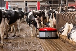 Lely presenta Discovery Collector C2, un nuevo robot para limpiar naves ganaderas