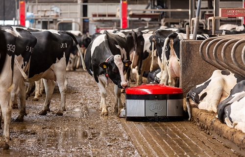 Lely presenta Discovery Collector C2, un nuevo robot para limpiar naves...