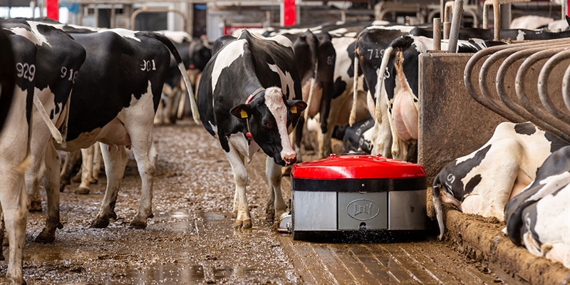 Lely presenta Discovery Collector C2, un nuevo robot para limpiar naves ganaderas