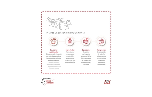 Nanta reduce un 85% el uso de antibi�ticos en sus piensos gracias al...