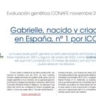 Gabrielle, nacido y criado en Espaa, n 1 por ICO