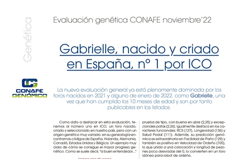 Gabrielle, nacido y criado en Espaa, n 1 por ICO