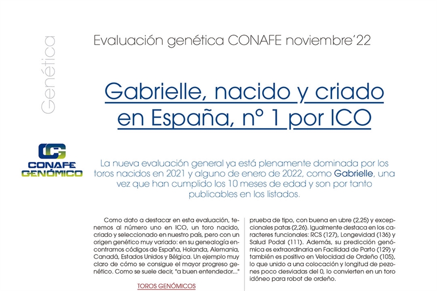 Gabrielle, nacido y criado en Espaa, n 1 por ICO