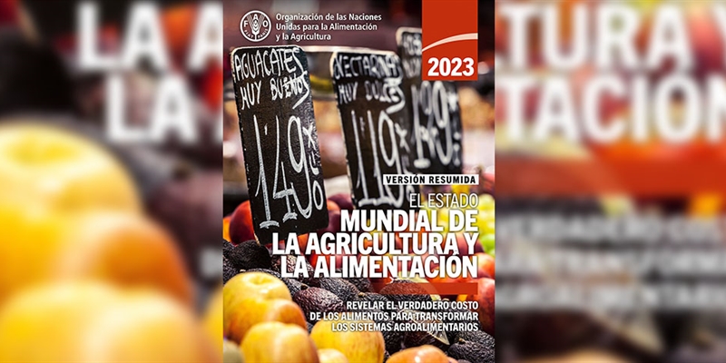 La ganadera y la agricultura pierden 123.000 millones de dlares anuales a nivel mundial por los desastres climticos