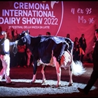 Llinde Ariel Jordan (Ceceo) defender su corona en el Concurso Internacional de Cremona 2023