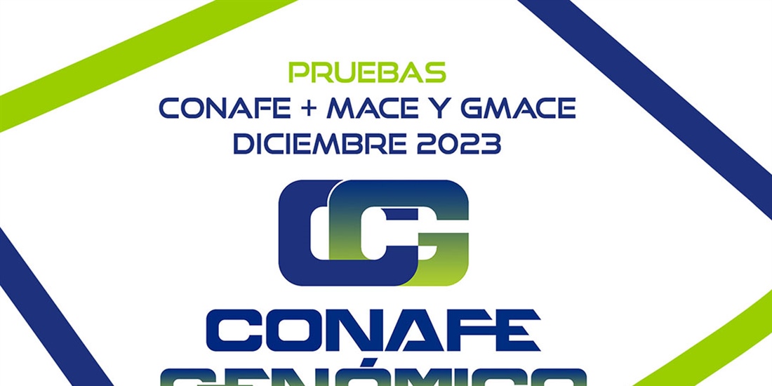 Nuevas pruebas CONAFE + MACE y GMACE Diciembre 2023