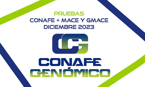 Nuevas pruebas CONAFE + MACE y GMACE Diciembre 2023