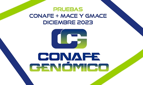 Nuevas pruebas CONAFE + MACE y GMACE Diciembre 2023