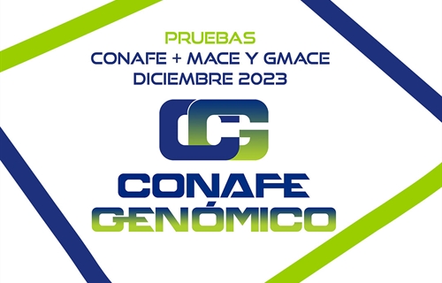 Nuevas pruebas CONAFE + MACE y GMACE Diciembre 2023