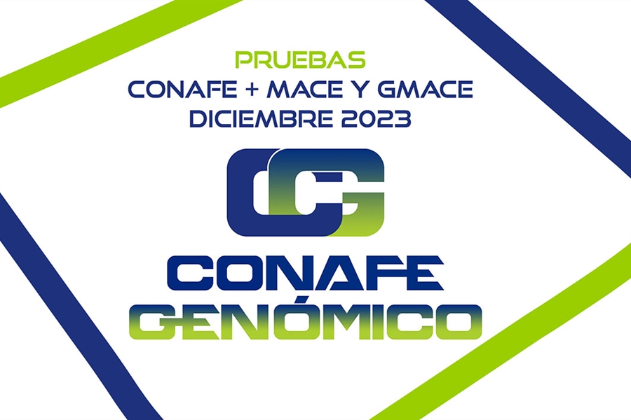 Nuevas pruebas CONAFE + MACE y GMACE Diciembre 2023