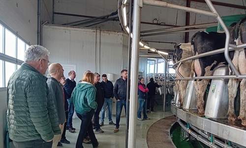 Jornada de formacin CONAFE en la Granja Paulorena Holstein