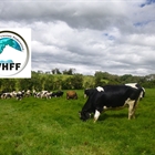 Cherilyn Watson (Nueva Zelanda), reelegida para un segundo mandato como presidenta de la Federacin Mundial de Raza Holstein